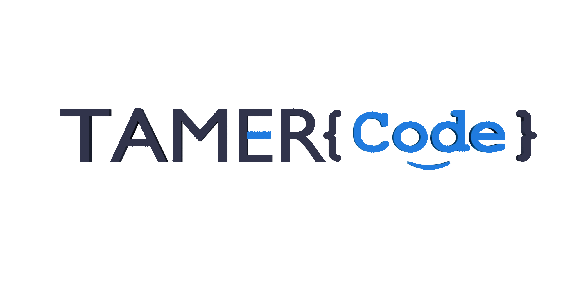 TAMERCode logo image